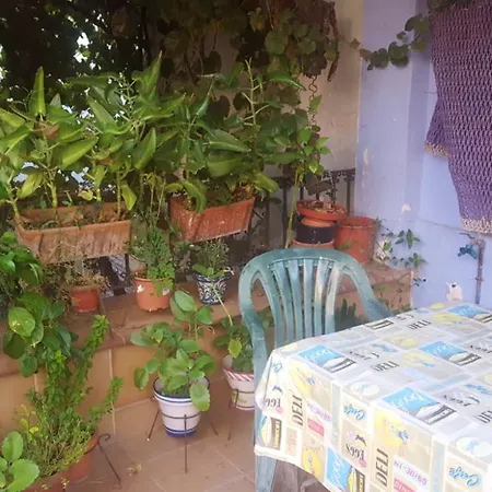 Studio In With Furnished Terrace And Wifi 5 Km From The Slopes