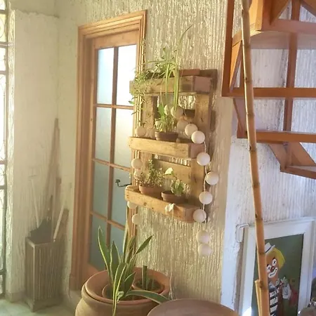 Studio In With Furnished Terrace And Wifi 5 Km From The Slopes Jerez de la Frontera